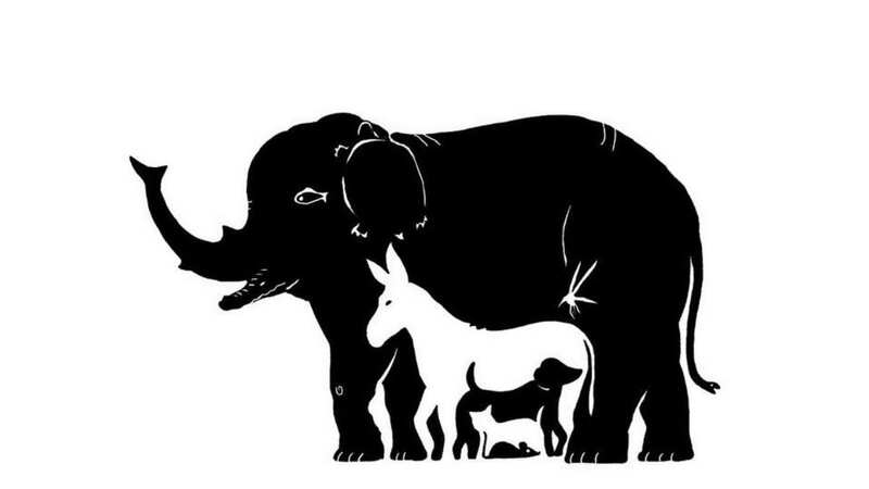 The tricky illusion challenges people to find all 13 animals hidden somewhere within the image (Image: Brightside.com)