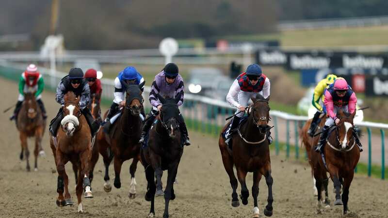 Lingfield hosts an all-weather meeting on Tueasday when Newsboy’s nap, Devizes, is fancied to win the 2.20