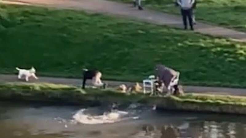 Terrifying moment grandad is pushed into canal as wife looks on in horror