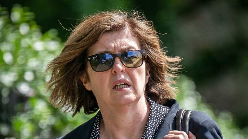 Partygate investigator and former senior civil servant Sue Gray (Image: PA)