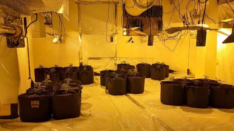 Police busted into the former Brickmakers Arms pub in Uckfield, Sussex on April 25 where they found and seized the plants which were "in the early stage of growth" (Image: Sussex Police)