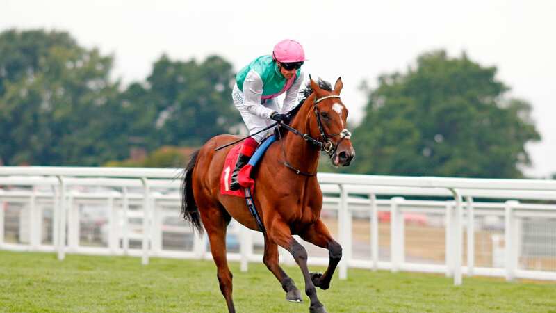 Frankie Dettori and Arrest can lift the Chester Vase at the Roodee (Image: RACINGFOTOS.COM)