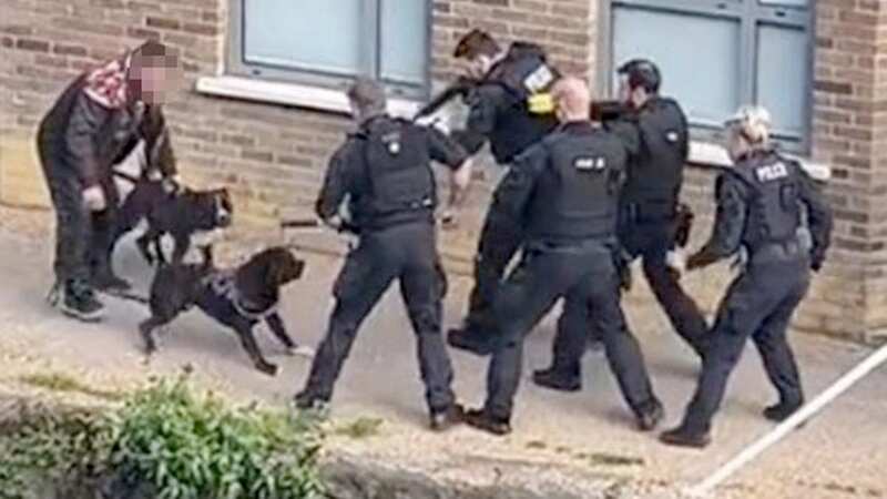 Man charged after being tasered by cops who shot his two dogs dead