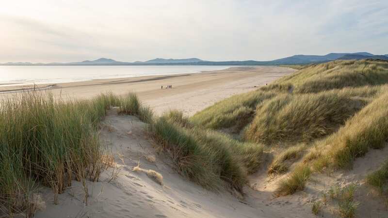 The Cambrian railway sweeps past Harlech Beach with Mount Snowdon on the horizon (Image: Getty Images/iStockphoto)