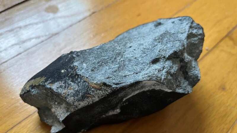 The suspected meteorite (Image: Hopewell Township Police Department)