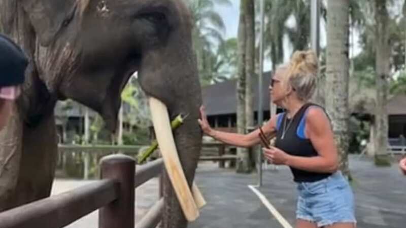 Beth pictured with the elephant moments before the accident which left her with a broken arm (Image: WMUR)