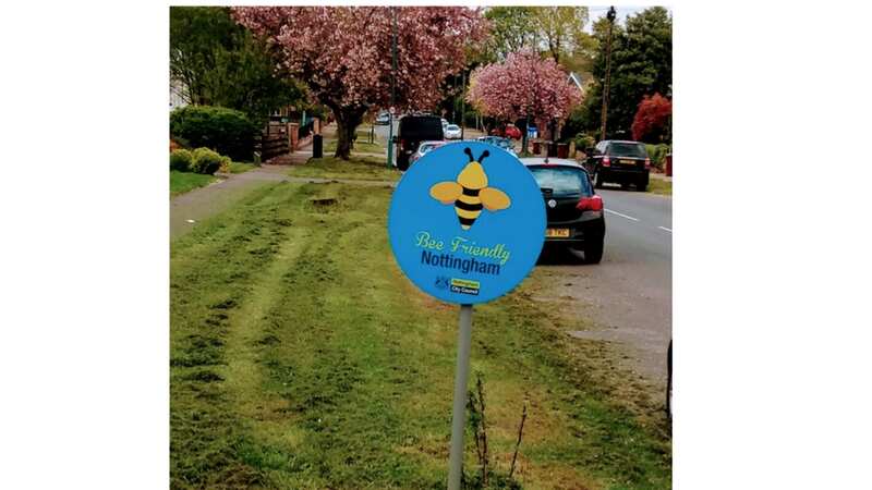 Oh really? Bee friendly sign in Nottingham (Image: Graham Birkett/Twitter)