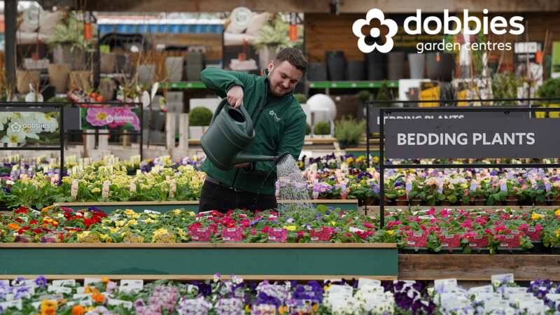 £5 off when you spend £25 at Dobbies Garden Centres, starts this weekend!
