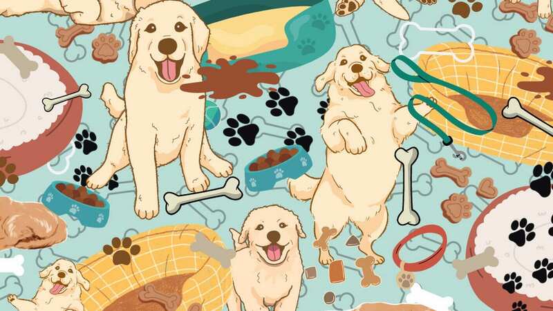 The cute brain teaser challenges puzzlers to spot a single ball (Image: Lords and Labradors)