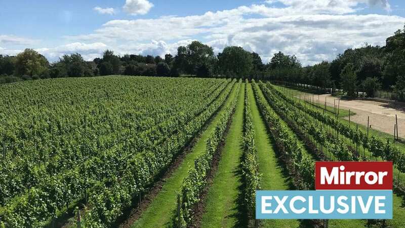 Yorkshire could soon be the world