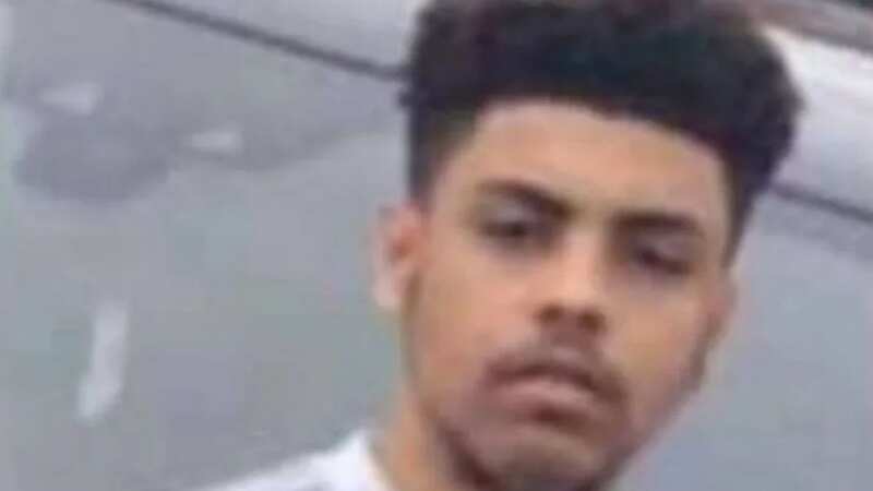 Alex Smith, 16, was chased down and stabbed to death by a rival gang (Image: Met police)