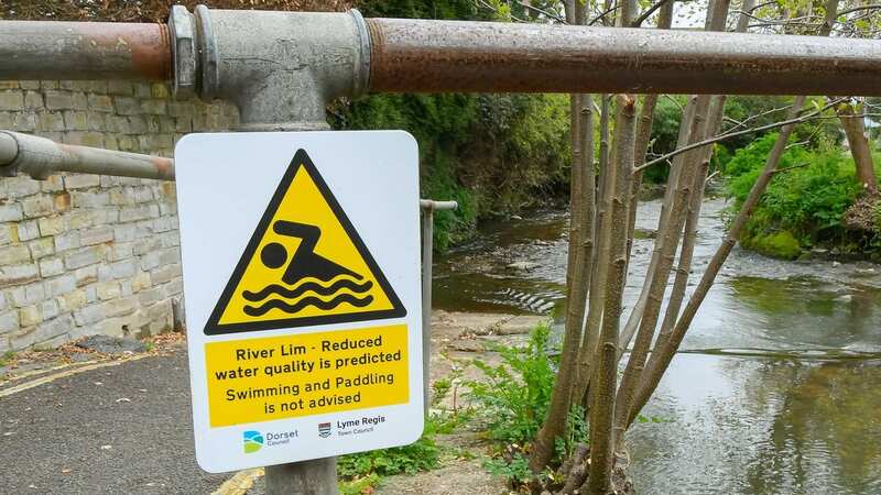 Whilst swimming beaches should not exceed 88 units of harmful E. coli per 100ml of water, the River Lim had 27,200 units - leading to no swimming signs being put up (Image: Graham Hunt/BNPS)