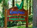Center Parcs on sale for '£4bn or £5bn' as Brits look forward to summer holidays eiqekiqhkidzrinv