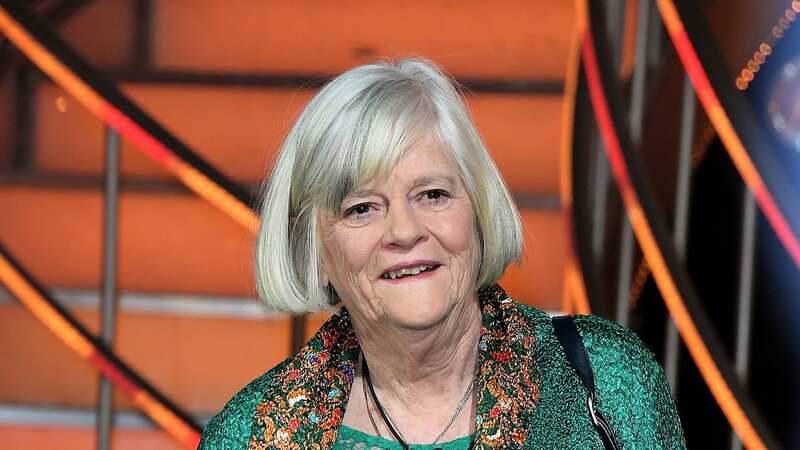 Ann Widdecombe made crass comment about families in poverty (Image: Stuart C. Wilson/Getty Images)