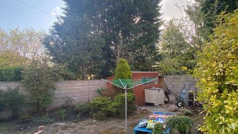 Paul Carrier said the trees from his neighbour