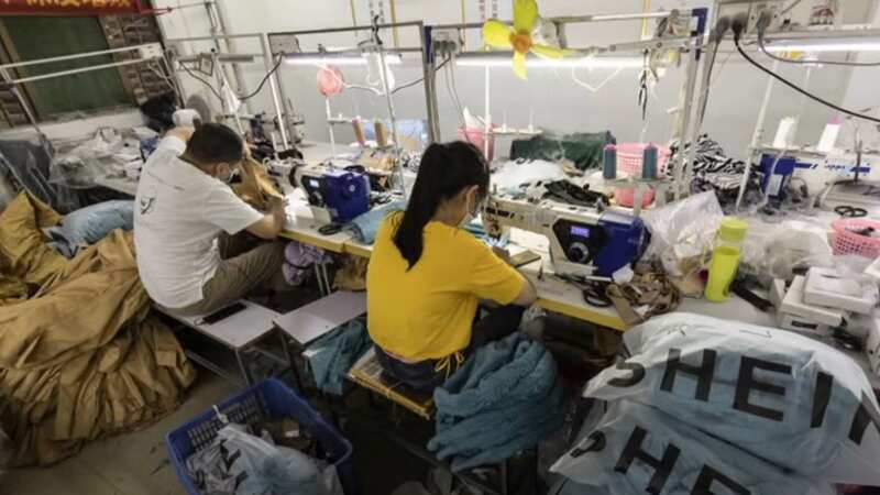 Investigations into Shein