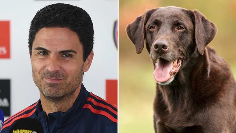 Mikel Arteta brought Arsenal dog in attempt to boost title chances during run-in