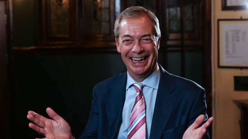 Nigel Farage was a leading cheerleader for Brexit (Image: Humphrey Nemar)