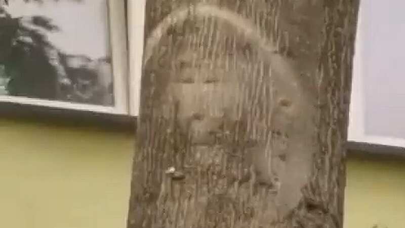 The pattern - which people have compared to Jesus - looks like a head with a halo around it (Image: Newsflash)