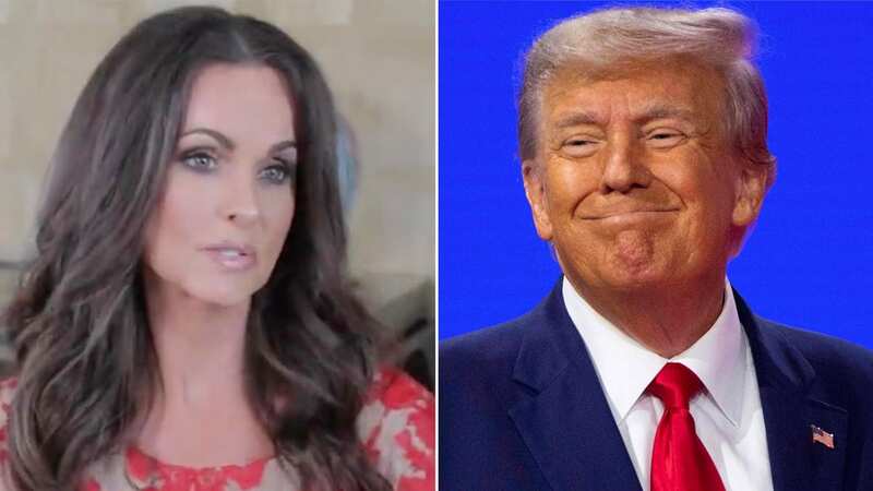 Karen is an ex-Playboy model who claims she had a ten-month affair with Trump back in 2006 (Image: Daily Mail/Getty)