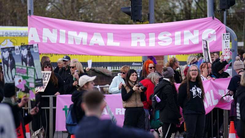 Animal rising protesters outside the gates at Aintree (Image: PA)