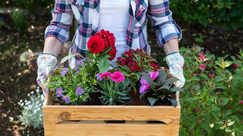 The gardener