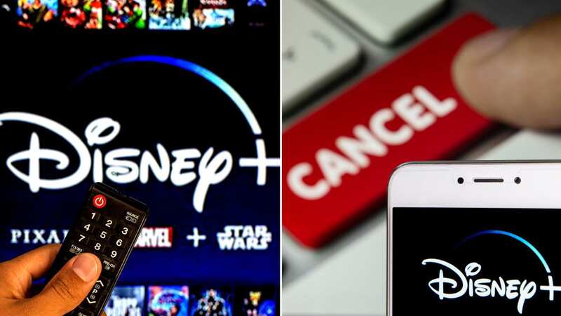 Disney+ subscribers ‘boycott’ streamer as string of shows axed