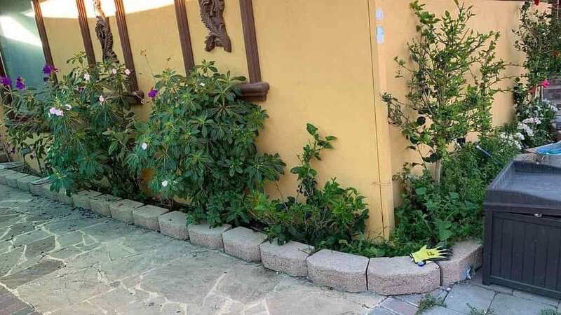 Only those with great observation skills can find the cat hidden within the photograph (Image: Reddit)