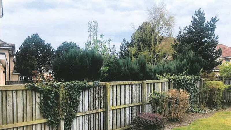 Alan Armitage said the trees left his garden in darkness (Image: Pressteam Scotland)