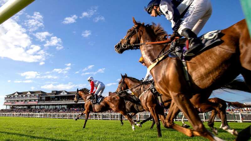 Ayr hosts a seven-race card on Wednesday and features Newsboy