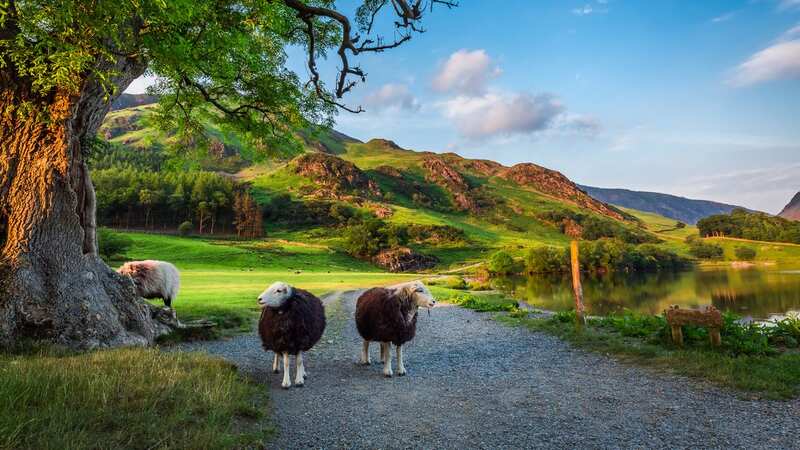You can take in such bucolic vistas for just £2 (Image: Getty Images/iStockphoto)