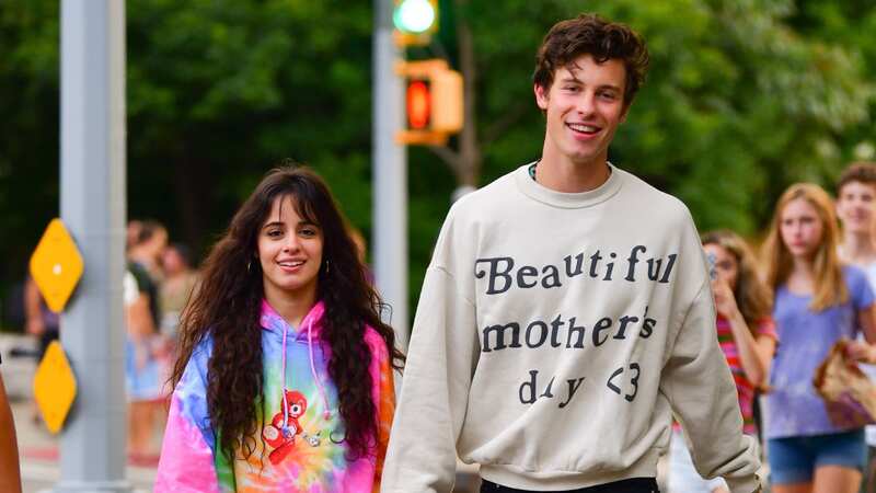 Shawn Mendes and Camila Cabello rekindled their romance back in April