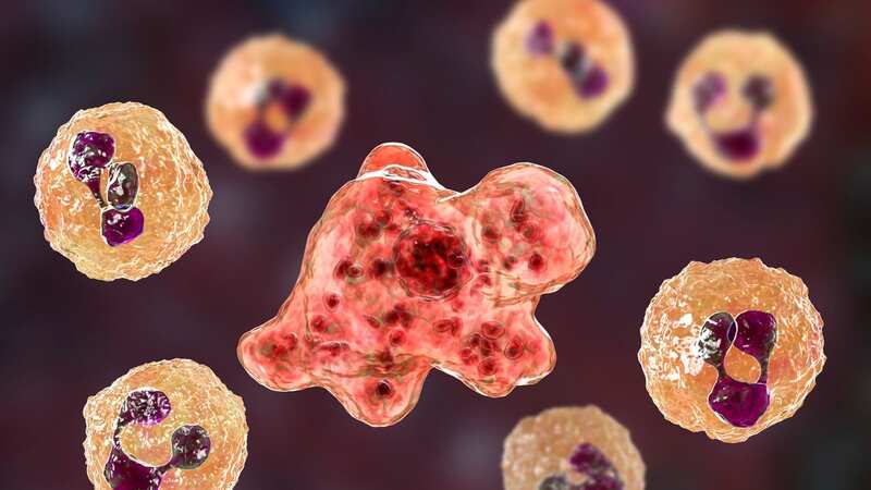 Brain-eating amoeba Naegleria fowleri is found in freshwater such as lakes and pools (Image: Getty Images/iStockphoto)