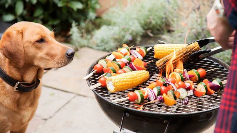 You need to keep an eye on your pooch around the barbecue (stock photo) (Image: Getty Images)