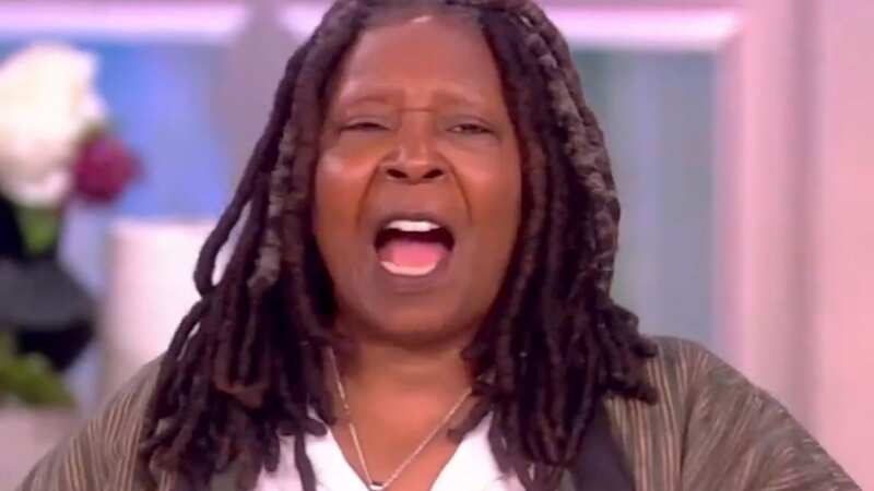 Whoopi shut down the audience and told them 