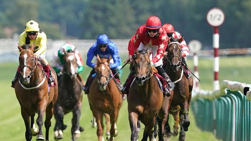 Haydock hosts the main TV action on Saturday (Image: Getty)