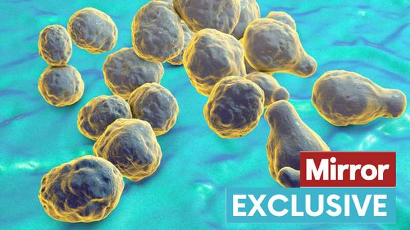 Fungal meningitis is a disease that affects the brain and spinal cord  (Image: Getty Images/iStockphoto)