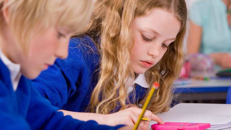 The SATs question has been baffling adults, with some saying that the question had a 