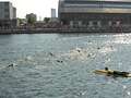 Athlete dies during swim section of UK triathlon as witnesses try to save them eiqrtiqhxidzrinv