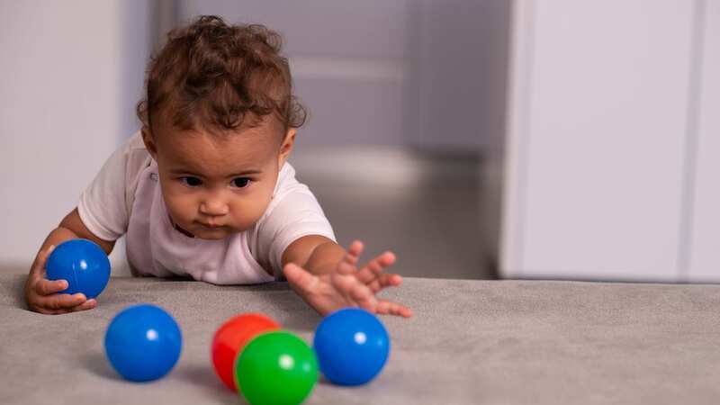 The scientists used a simple game to study how 66 children aged between 17 and 31 months learn words – they aimed to find connections between early child language development and being able to identify words with everyday objects (Image: Getty Images)