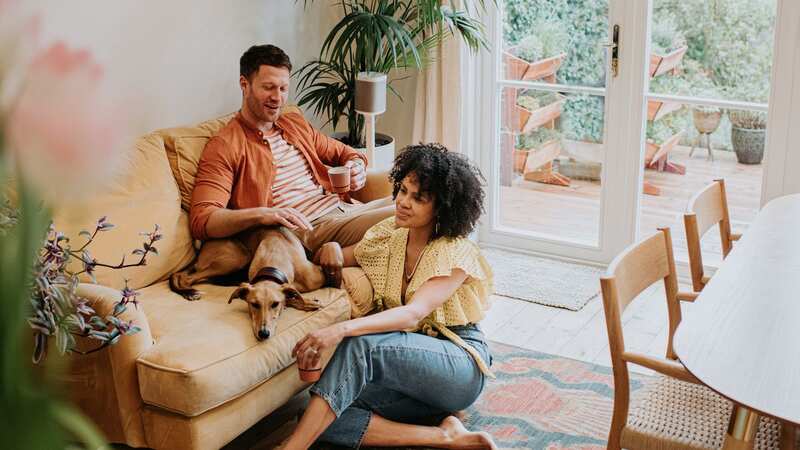 Keep the bond with your pets stronger than ever with these great products (Image: Getty)