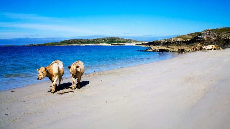 Mannin Bay has been snapped 