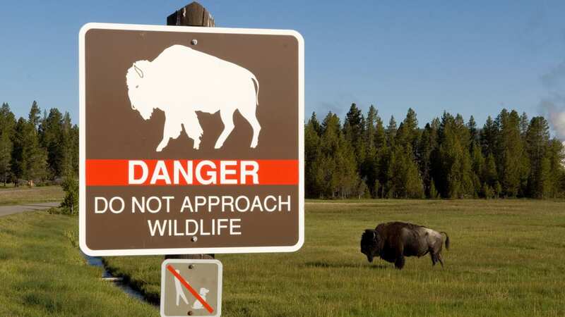 A warning sign in Yellowstone National Park (Image: Getty Images)