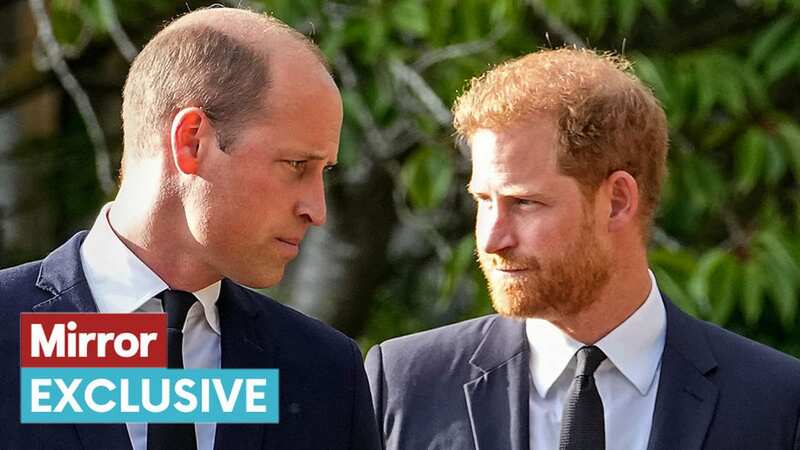 Prince William and Prince Harry could yet repair their bond (Image: AP)