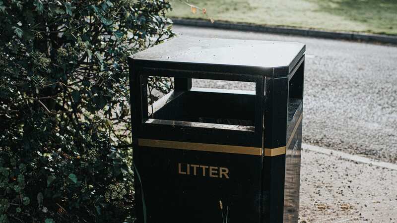 It turns out public bins aren