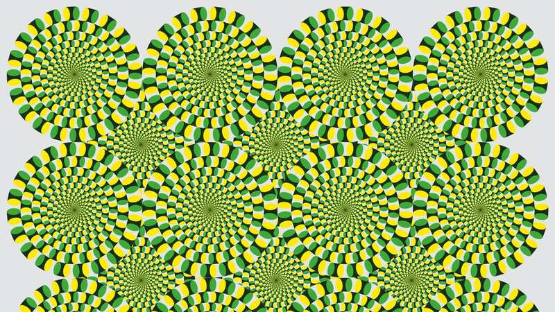 The image looks like it