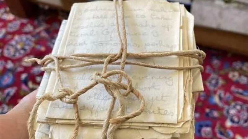 She believes they were written in the 1950s (Image: r/mildlyinteresting/Reddit)