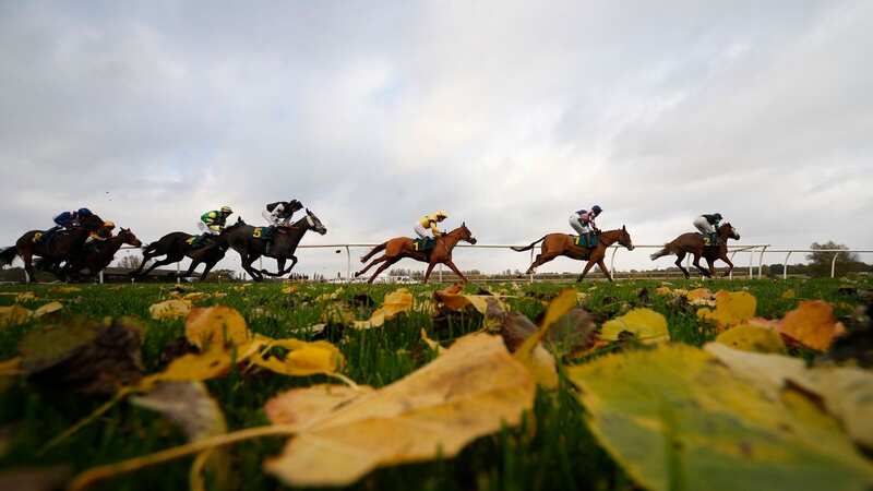 FAKENHAM, ENGLAND - OCTOBER 26: Noel Fehily riding Fool To Cry (C, yellow) on their way to winning The Breeders