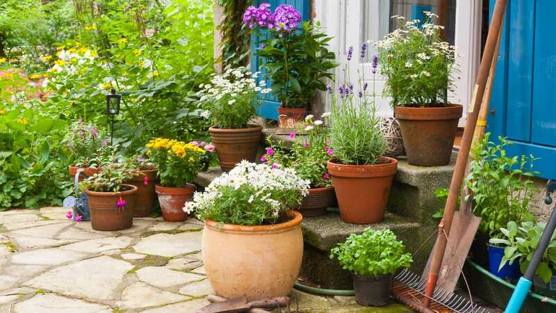 The neighbours had complained and are now unhappy again (Image: Getty Images/iStockphoto)