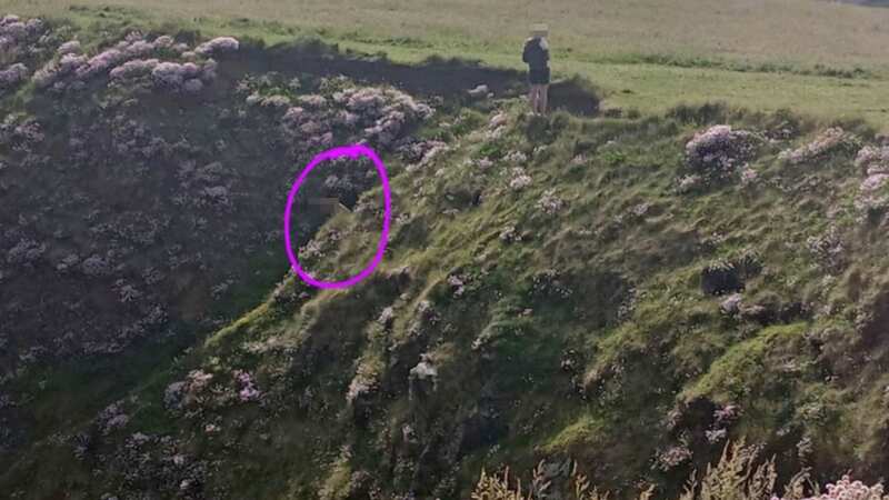 The two children can be seen heading towards the blowhole, as the woman looks away (Image: facebook)